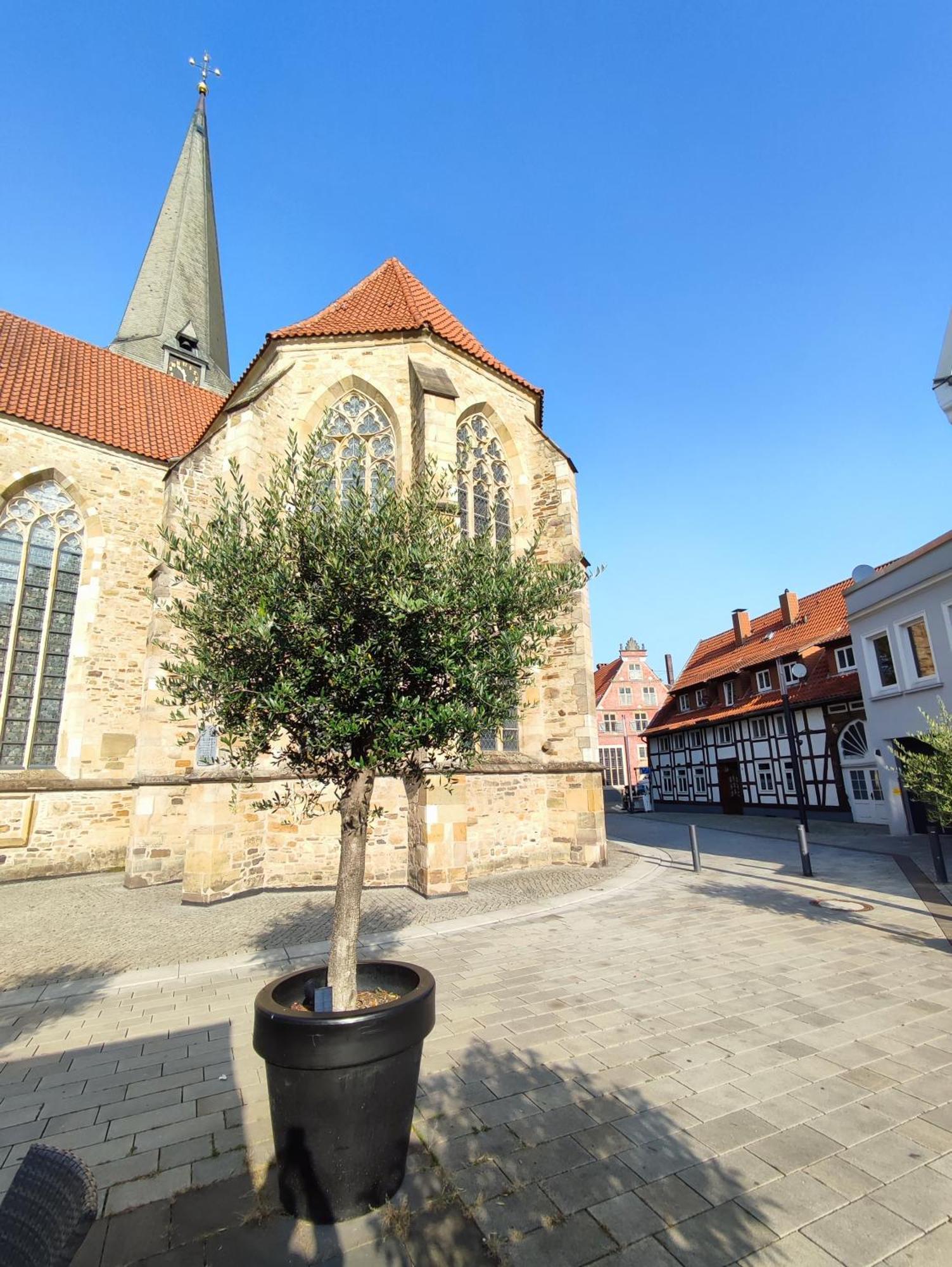 'Bright 1' Innenstadtlage, Ruhige, Schoene, Helle 3Zkb Wlan Herford Bagian luar foto